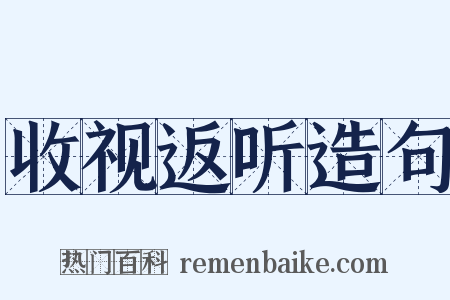 收视返听造句是什么意思的图片